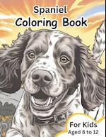 Spaniel Coloring book