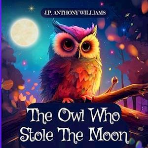 The Owl Who Stole The Moon: A Children's Book about Friendship and Forgiveness