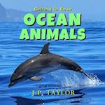 Getting to Know Ocean Animals 