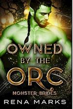 Owned By The Orc 