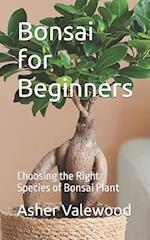 Bonsai for Beginners: Choosing the Right Species of Bonsai Plant 