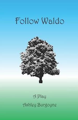 Follow Waldo: A Play