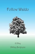 Follow Waldo: A Play 