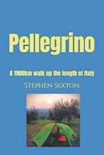 Pellegrino: A 1900km walk up the length of Italy 