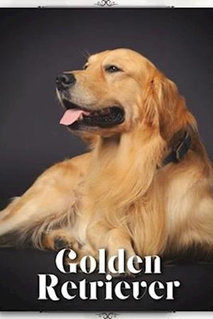 Golden Retriever: Dog Breed guide