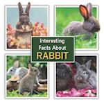 Interesting Facts about Rabbit: Rabbit Educational Wildlife Picture Book for Kids 