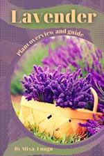 Lavender: Plant overview and guide 