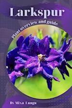 Larkspur: Plant overview and guide 