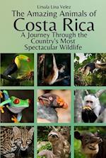The Amazing Animals of Costa Rica: A Journey Through the Country's Most Spectacular Wildlife 