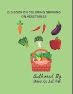BIG BOOK ON COLORING DRAWING ON VEGETABLES: VEGETABLES TO COLOR AND LEARN FOR ALL AGES 