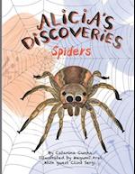 Alicia's Discoveries Spiders 