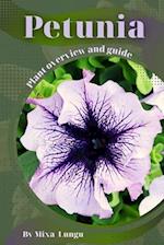 Petunia: Plant overview and guide 