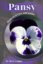 Pansy: Plant overview and guide 