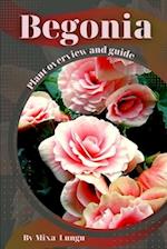 Begonia: Plant overview and guide 