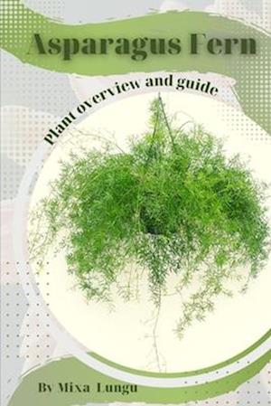 Asparagus Fern: Plant overview and guide