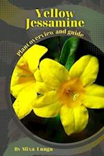 Yellow Jessamine: Plant overview and guide 