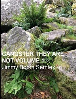 GANGSTER THEY ARE NOT VOLUME 1