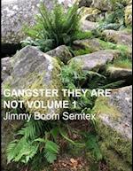 GANGSTER THEY ARE NOT VOLUME 1 