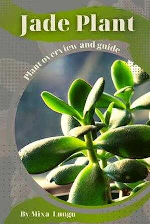 Jade Plant: Plant overview and guide