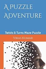 A Puzzle Adventure: Twists & Turns Maze Puzzle 