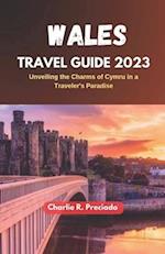 WALES TRAVEL GUIDE 2023: Unveiling the Charms of Cymru in a Traveler's Paradise 