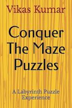 Conquer The Maze Puzzles: A Labyrinth Puzzle Experience 