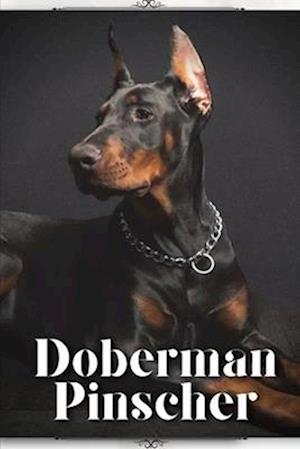 Doberman Pinscher: Dog breed overview and guide