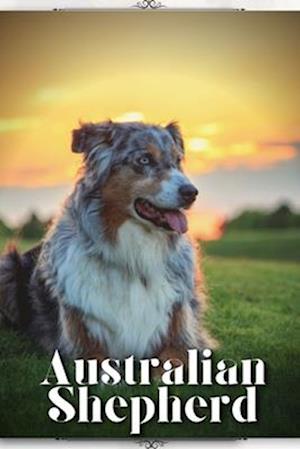 Australian Shepherd: Dog breed overview and guide