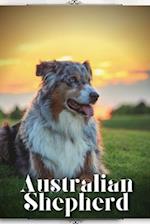 Australian Shepherd: Dog breed overview and guide 