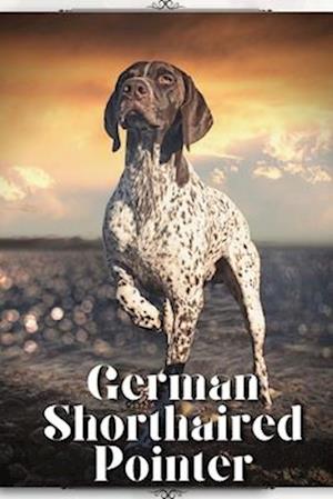 German Shorthaired Pointer: Dog breed overview and guide