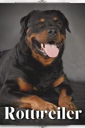 Rottweiler: Dog breed overview and guide