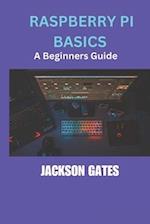Raspberry Pi Basics : A Beginners Guides 