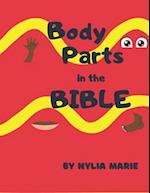 Body Parts In The BIBLE 