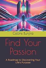 Find Your Passion: A Roadmap to Discovering Your Life's Purpose 