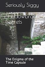 Shadowbrook Secrets: The Enigma of the Time Capsule 