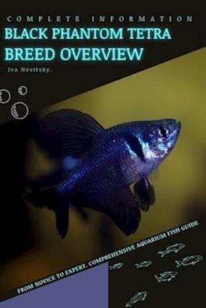 Black Phantom Tetra: From Novice to Expert. Comprehensive Aquarium Fish Guide
