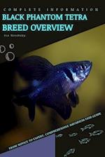 Black Phantom Tetra: From Novice to Expert. Comprehensive Aquarium Fish Guide 