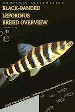 Black-banded leporinus: From Novice to Expert. Comprehensive Aquarium Fish Guide 
