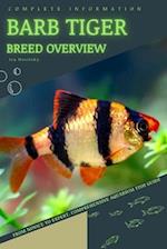 Barb Tiger: From Novice to Expert. Comprehensive Aquarium Fish Guide 