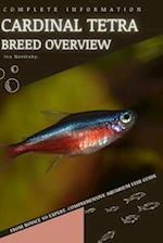 Cardinal Tetra: From Novice to Expert. Comprehensive Aquarium Fish Guide 