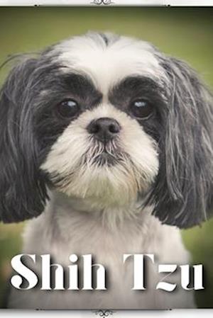 Shih Tzu: Dog breed overview and guide