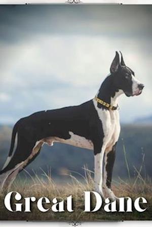 Great Dane: Dog breed overview and guide