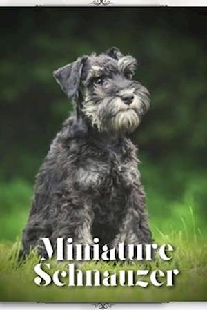 Miniature Schnauzer: Dog breed overview and guide