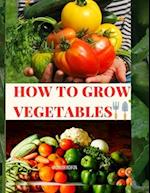 HOW TO GROW VEGETABLES 