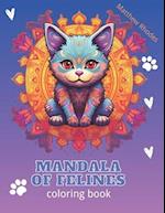 Mandala of Felines 