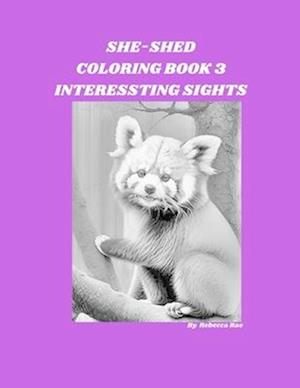 SHE-SHED COLORING BOOK 3: Interesting Sights