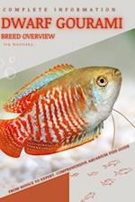 Dwarf Gourami: From Novice to Expert. Comprehensive Aquarium Fish Guide 
