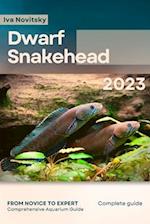 Dwarf Snakehead: From Novice to Expert. Comprehensive Aquarium Fish Guide 