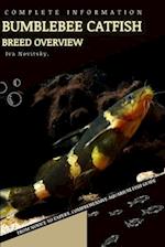 bumblebee catfish: From Novice to Expert. Comprehensive Aquarium Fish Guide 