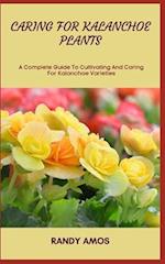 CARING FOR KALANCHOE PLANTS: A Complete Guide To Cultivating And Caring For Kalanchoe Varieties 
